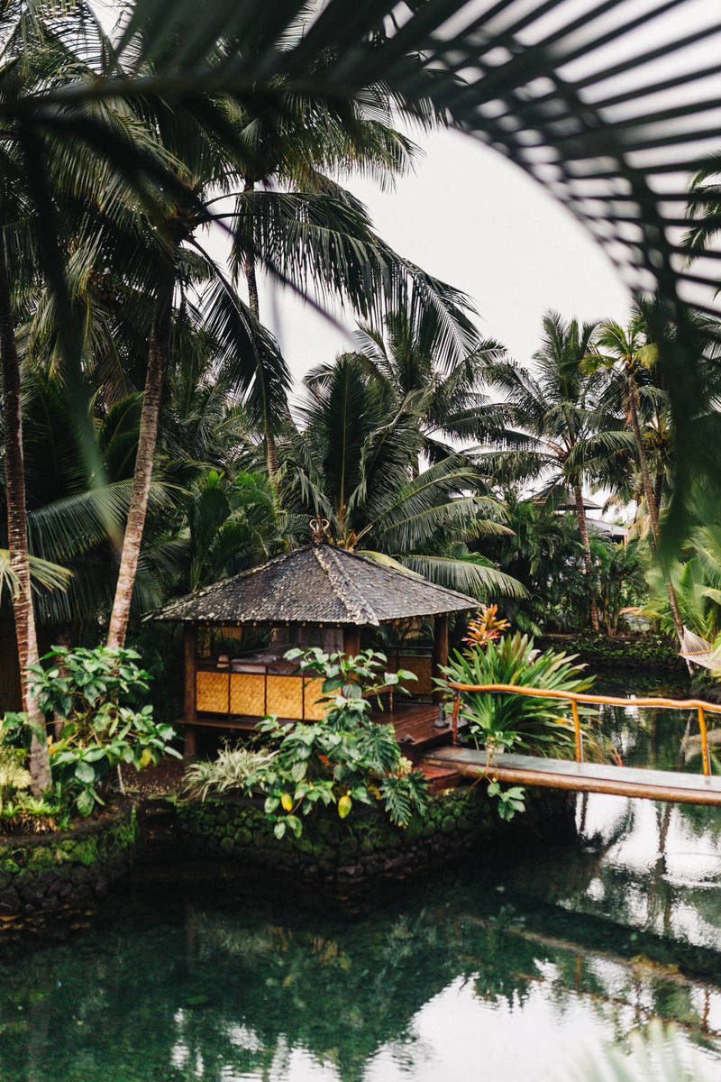 Xiaomi Mi 10: New Variant with Snapdragon 870 Review Xiaomi Mi 10: New Variant with Snapdragon 870 Review缩略图