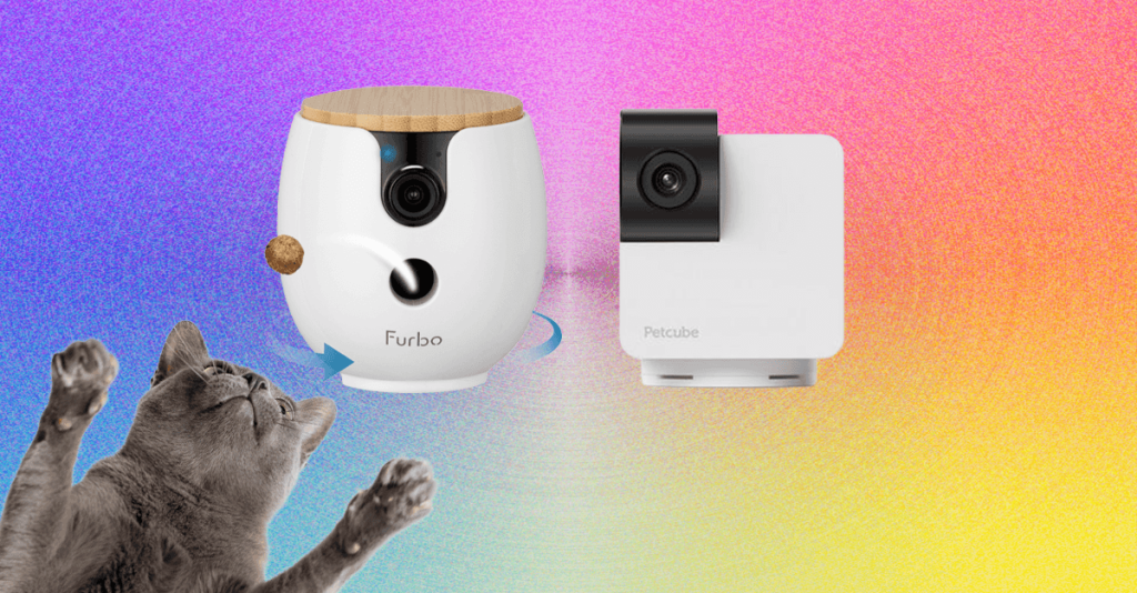 10 Best Pet Cameras (2026), Tested With Our Pets 10 Best Pet Cameras (2026), Tested With Our Pets