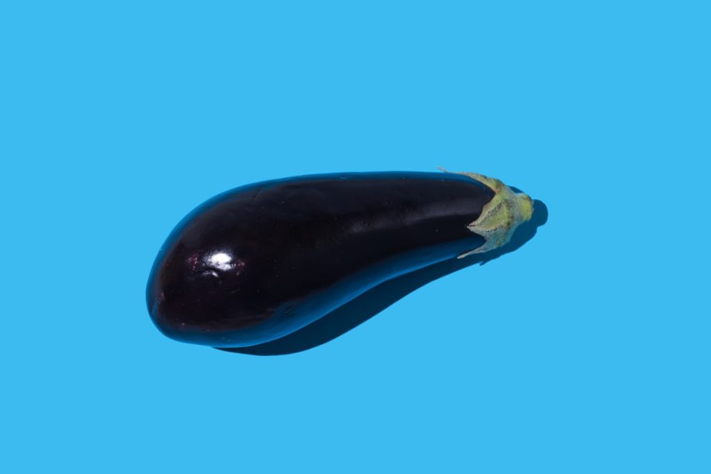 Sex toys maker Tenga says hacker stole customer information Raw eggplant with hard shadow on blue background.