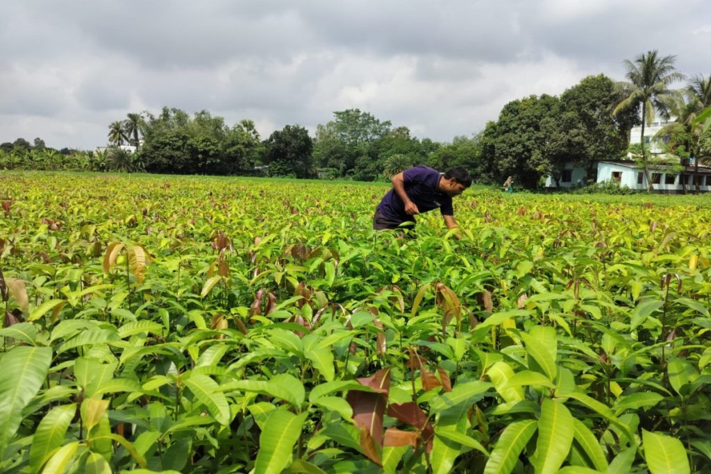 Varaha project at a farm