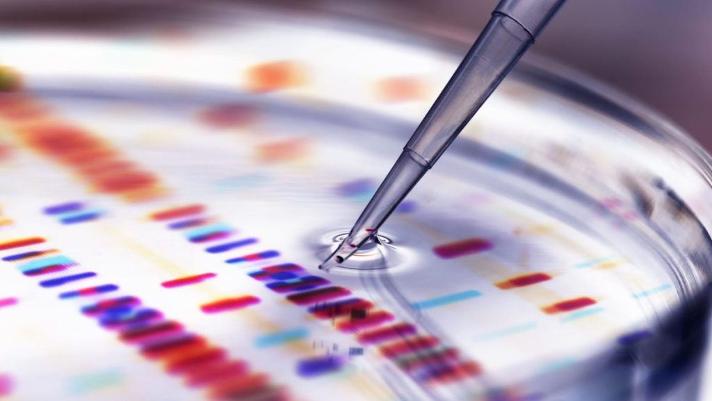 Why scientists can’t get a laugh Pipette adding sample to petri dish with DNA profiles in background