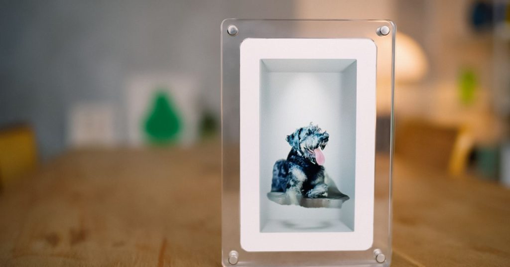 This Digital Picture Frame Wants to Bring People Closer to a Holographic Future This Digital Picture Frame Wants to Bring People Closer to a Holographic Future