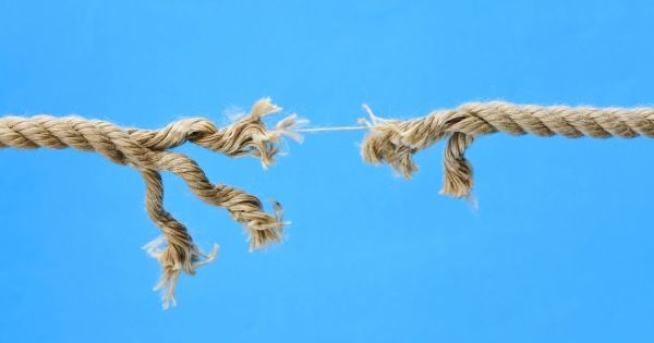 Principal Media Is Changing the Agency Model—Whether We Like It or Not Principal Media Is Changing the Agency Model—Whether We Like It or Not