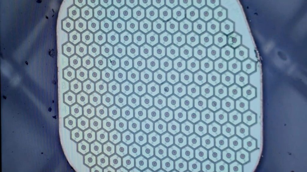 Max Hodak’s Science Corp. is preparing to place its first sensor in a human brain