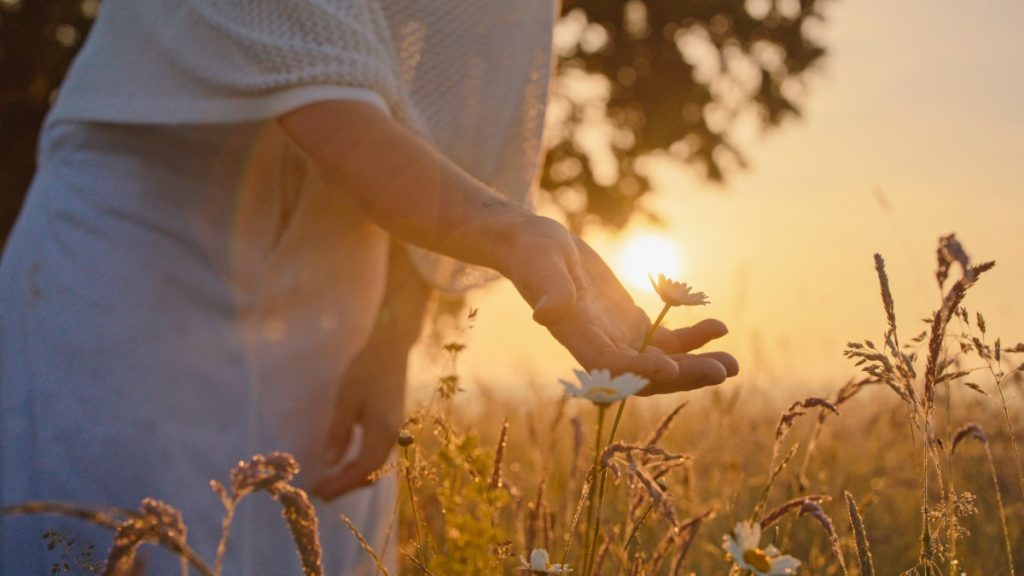 Serene Outdoor Moment with Woman and Wildflowers at Dusk