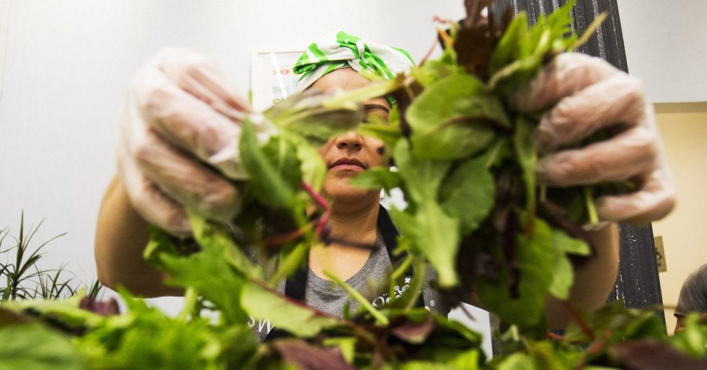 Salad Chains Are Seeing Foot Traffic Drop Over Cyclosporiasis Fears